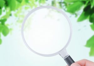 あしたでんきより安い電力会社は2社