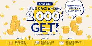 第3位 楽天でんき