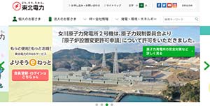 比較用　東北電力（とうでん）