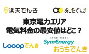 一人暮らしの東京電力エリアでもっとは本当に電力会社はここだ！
