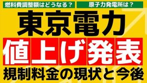 東京電力ついに電気料金の値上げ発表！！規制料金の現状と今後!燃料費調整額はどうなる？原子力発電所は？｜東京電力EP契約者必見！