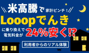 【北海道】Looopでんきは高い？電気代が24%安くなったレビュー紹介！