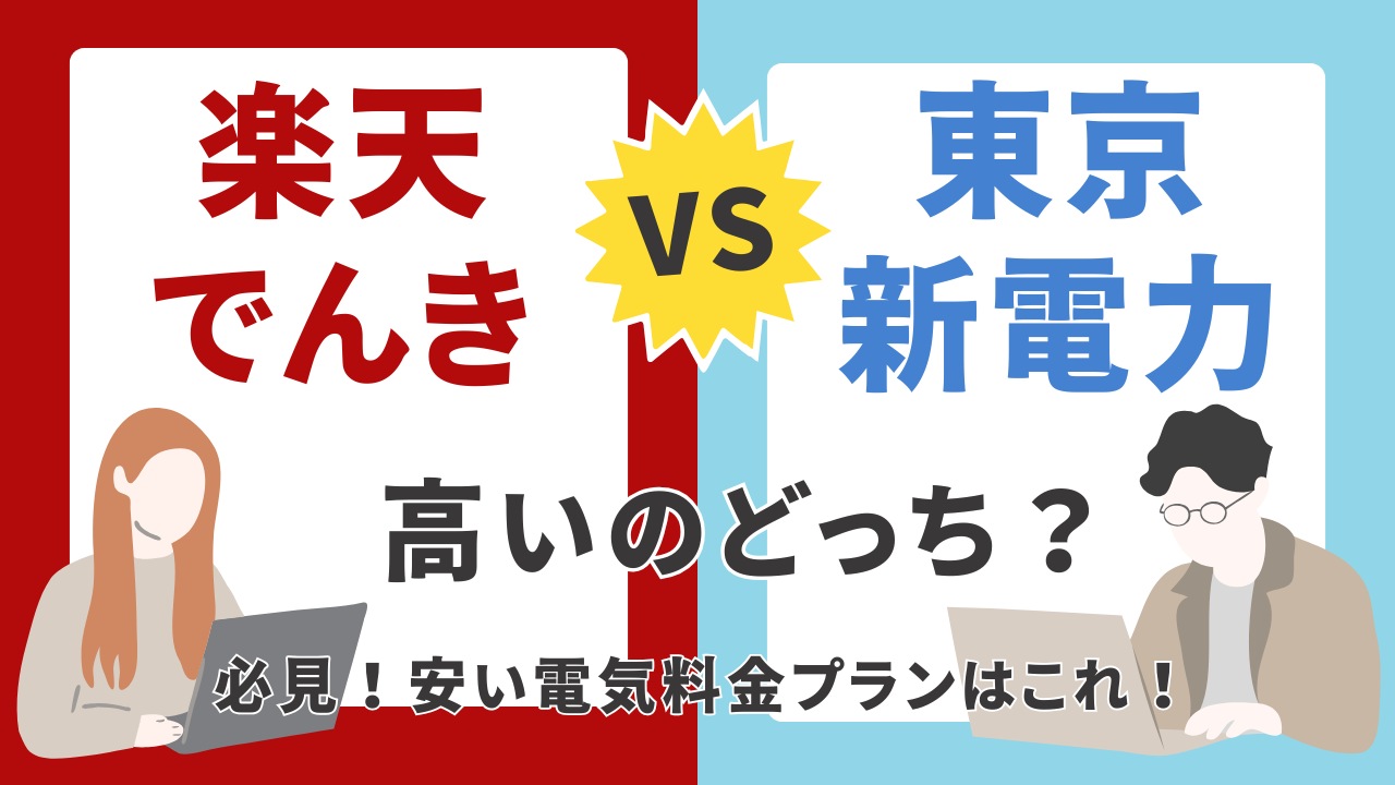 楽天電気は市場連動型で本当に安いのか!?